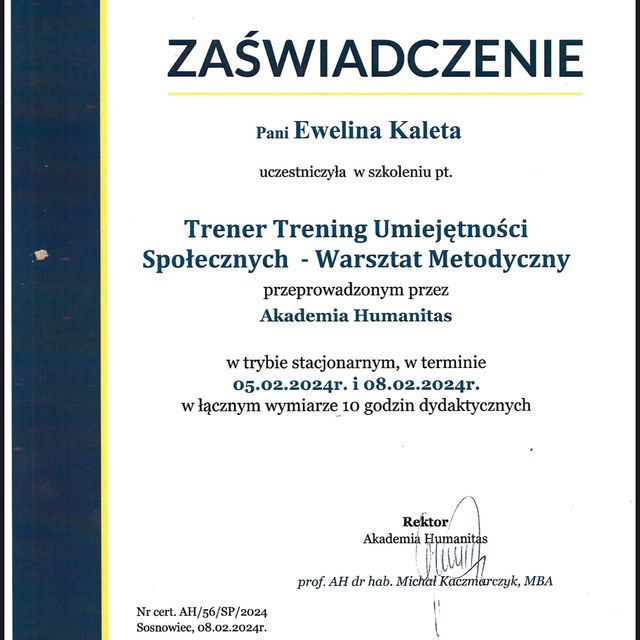 Powiększ obraz: certificate 11