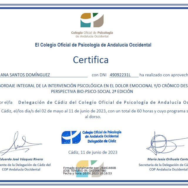 Acercar imagen: certificate 11