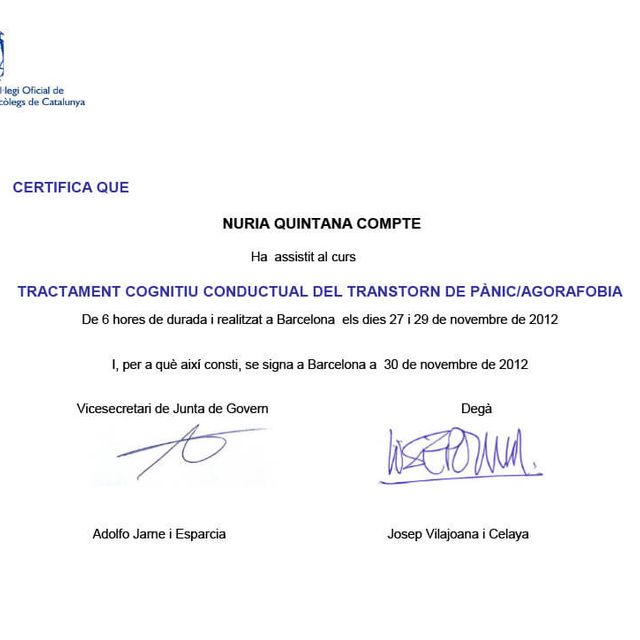 Acercar imagen: certificate 6