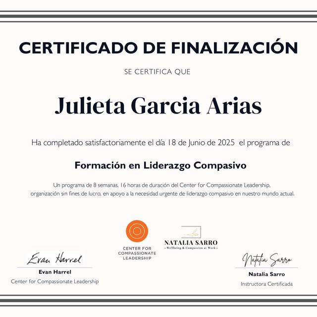 Acercar imagen: certificate 17