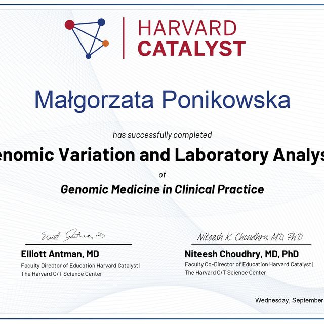Powiększ obraz: certificate 4