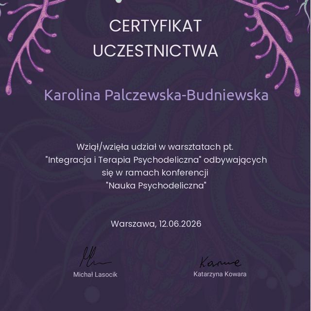 Powiększ obraz: certificate 2