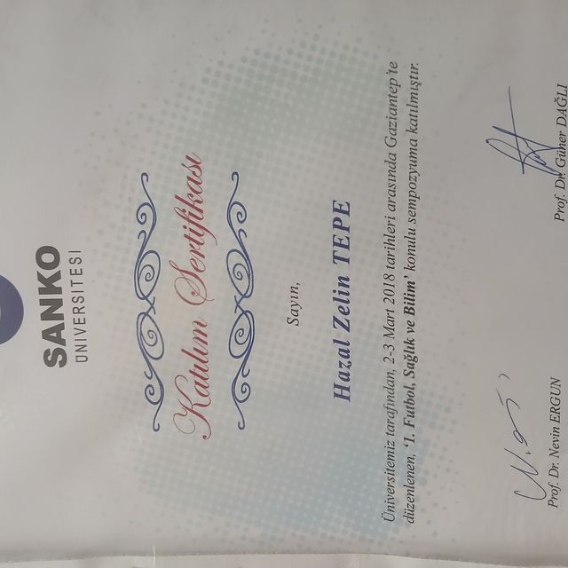 Resmi büyüt: certificate 3