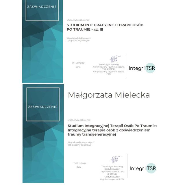 Powiększ obraz: certificate 2