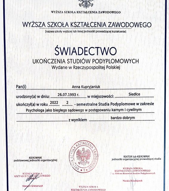 Powiększ obraz: certificate 4