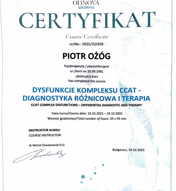 Powiększ obraz: certificate 2