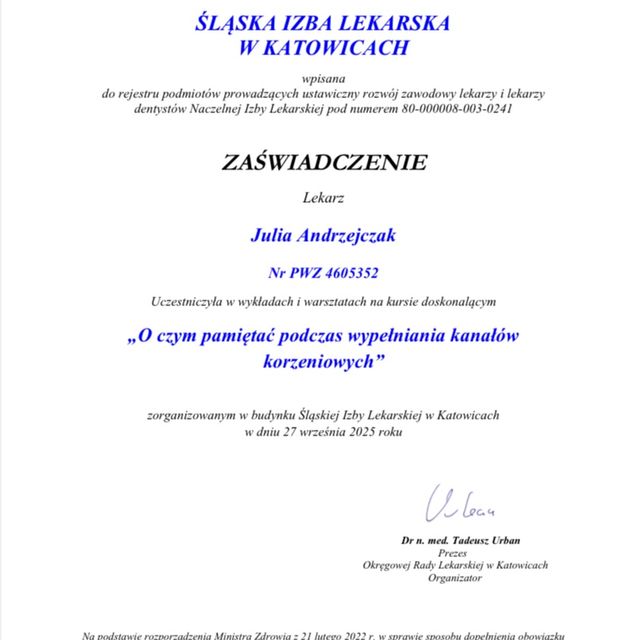 Powiększ obraz: certificate 1