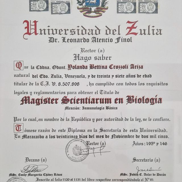 Acercar imagen: certificate 2