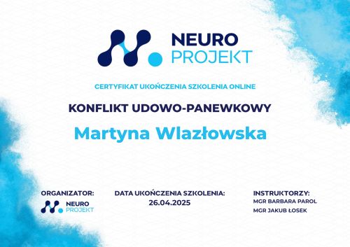 Powiększ obraz: certificate 8