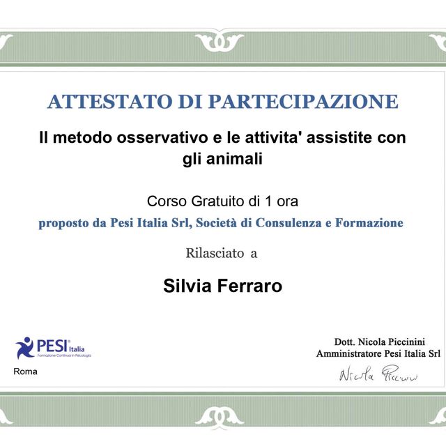 Ingrandire l'immagine: certificate 13