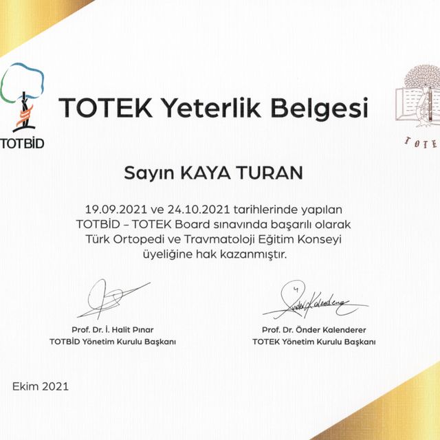 Resmi büyüt: certificate 9