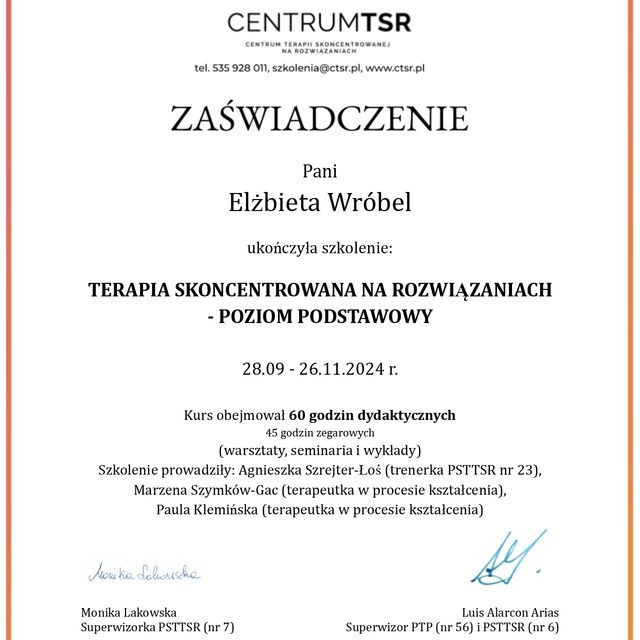 Powiększ obraz: certificate 1