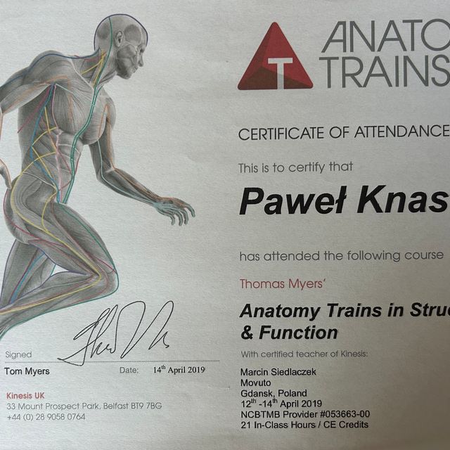 Powiększ obraz: certificate 26