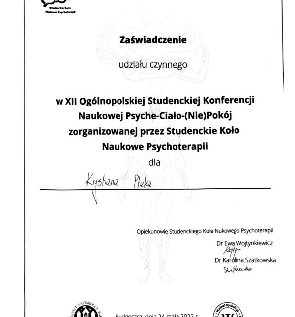 Powiększ obraz: certificate 13