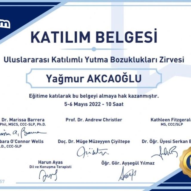 Resmi büyüt: certificate 14