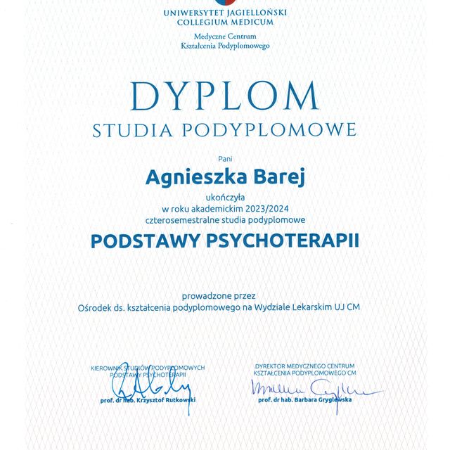 Powiększ obraz: certificate 1