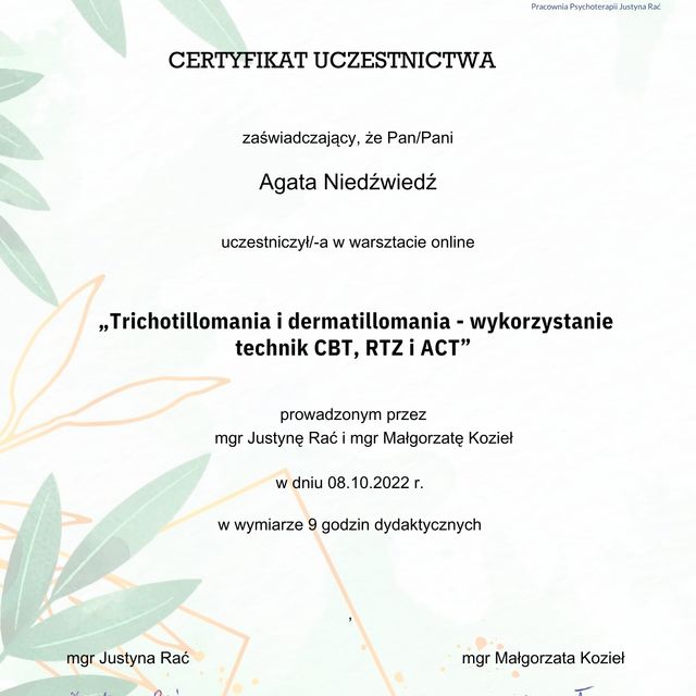 Powiększ obraz: certificate 12