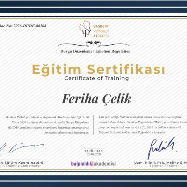 Resmi büyüt: certificate 4