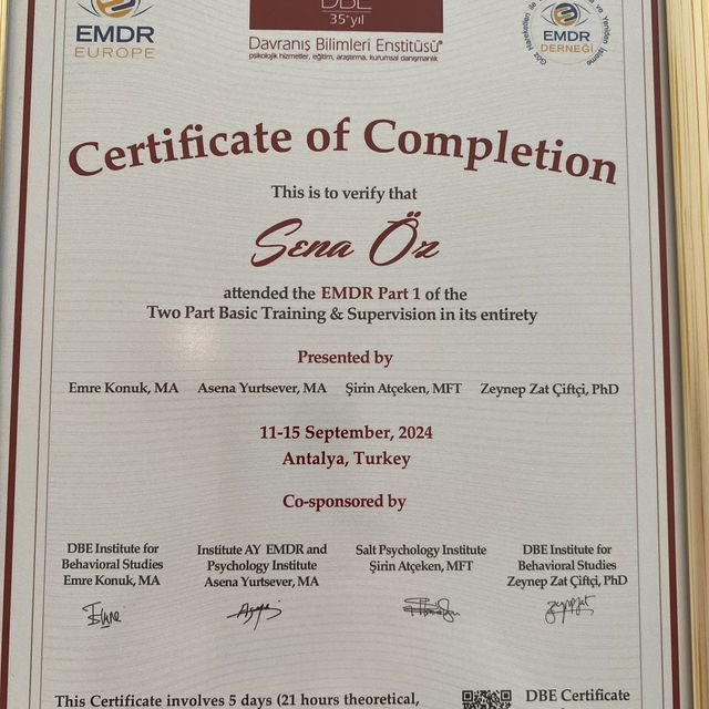 Resmi büyüt: certificate 2
