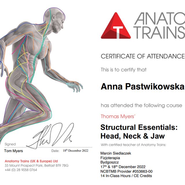 Powiększ obraz: certificate 6