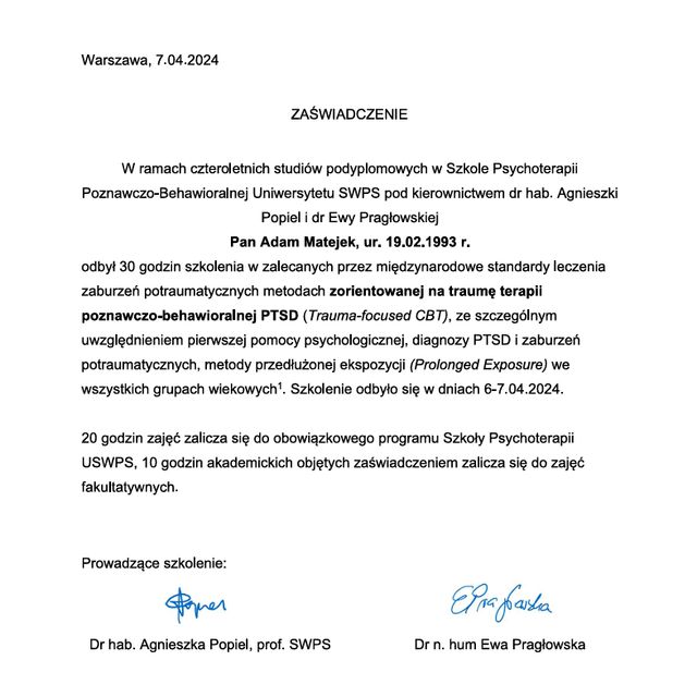 Powiększ obraz: certificate 6