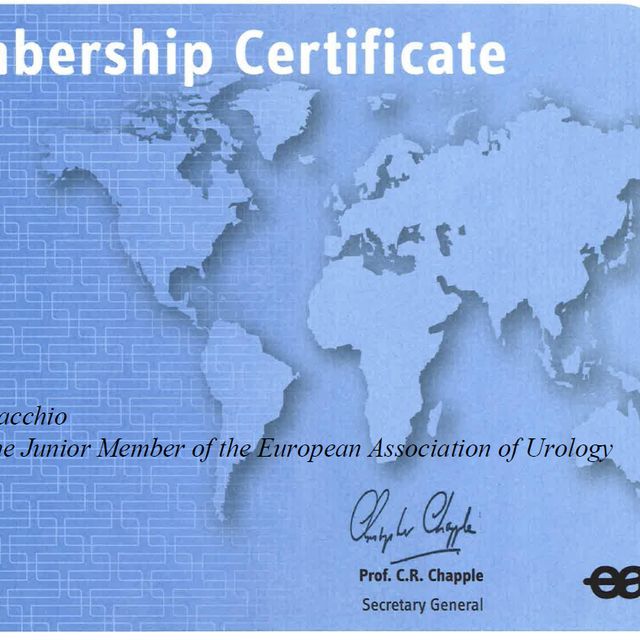 Ingrandire l'immagine: certificate 1