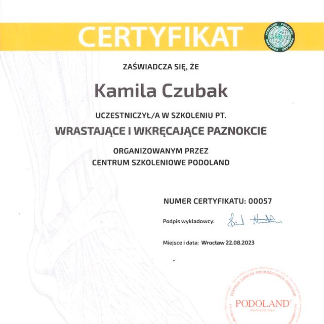 Powiększ obraz: certificate 1