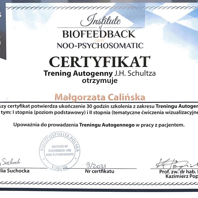 Powiększ obraz: certificate 2