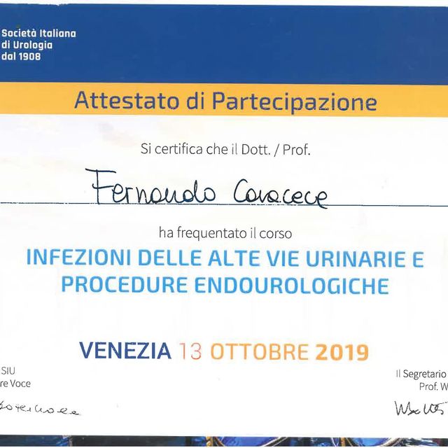 Ingrandire l'immagine: certificate 48