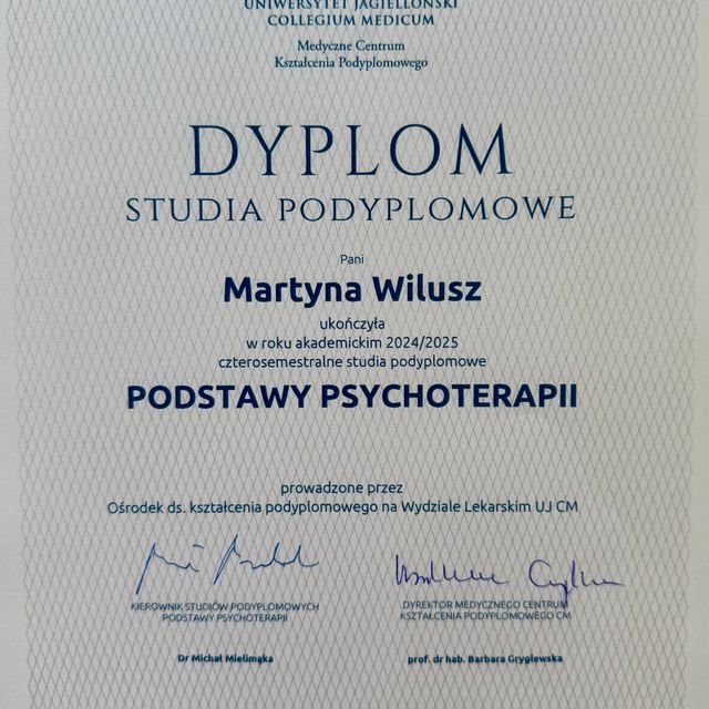 Powiększ obraz: certificate 1