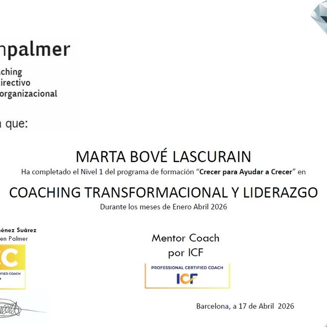 Acercar imagen: certificate 9