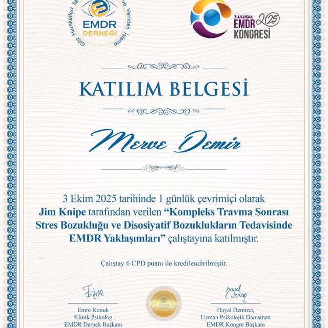 Resmi büyüt: certificate 2