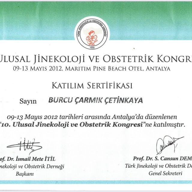 Resmi büyüt: certificate 8