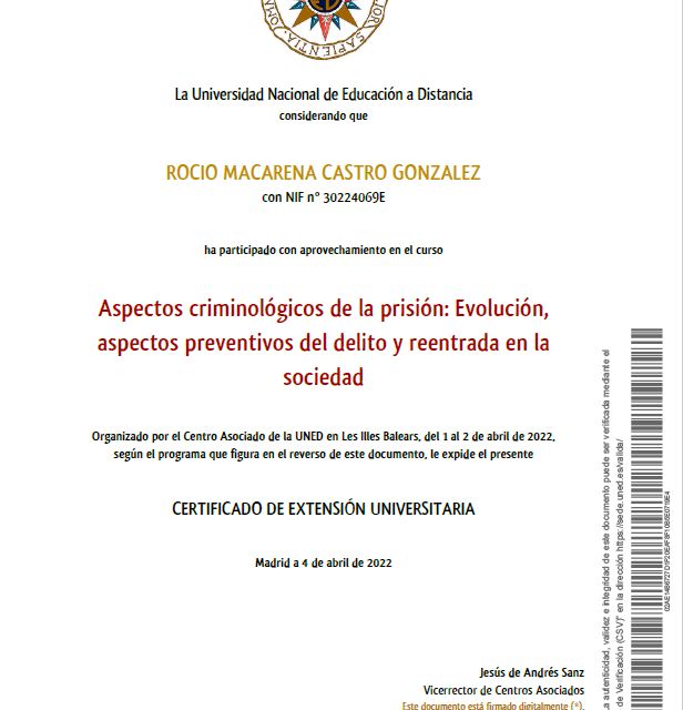 Acercar imagen: certificate 13