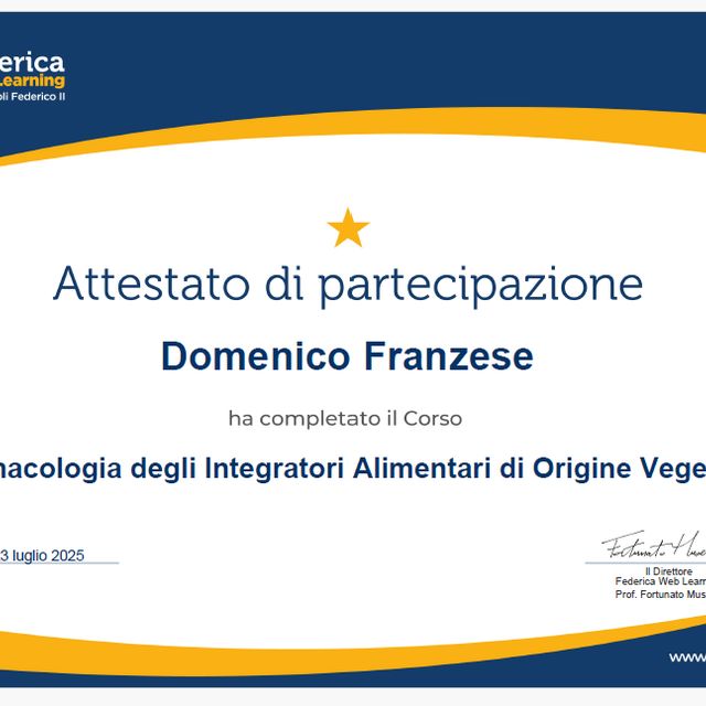 Ingrandire l'immagine: certificate 5