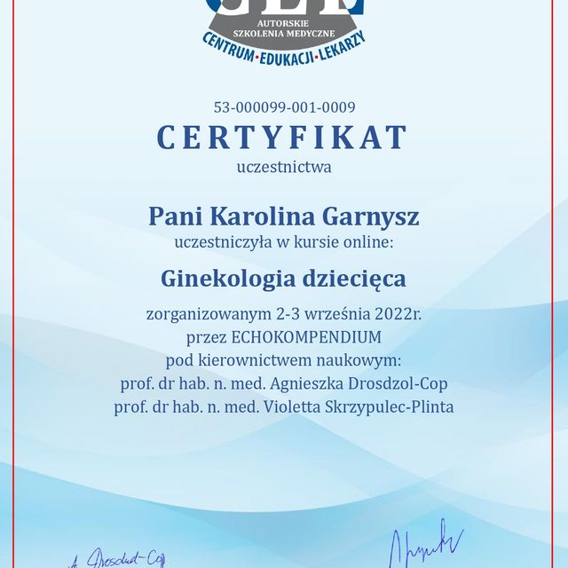 Powiększ obraz: certificate 3