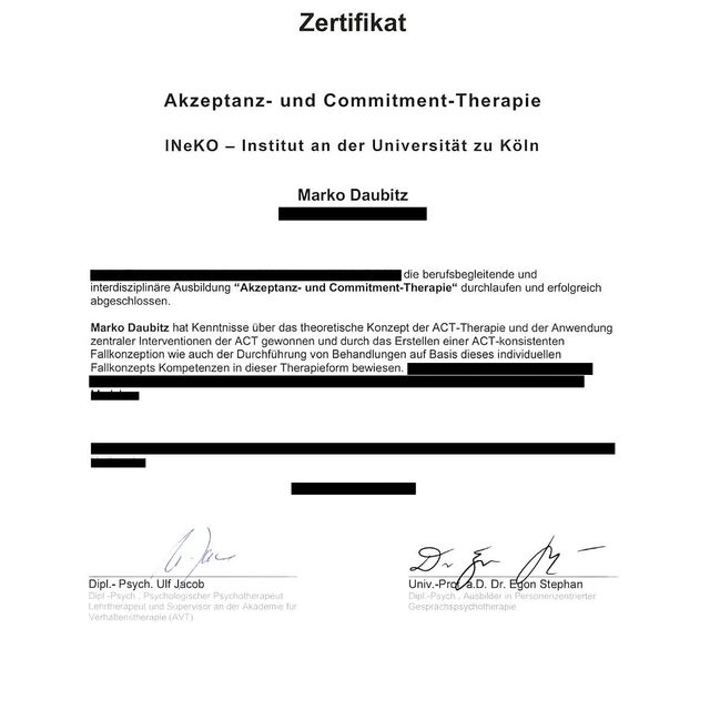 Bild vergrößern: certificate 4