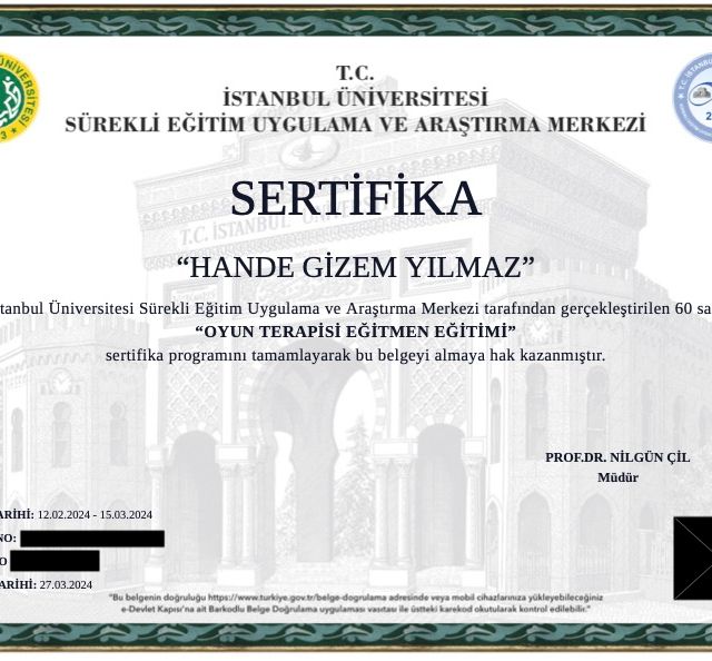 Resmi büyüt: certificate 4