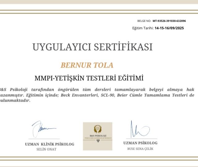 Resmi büyüt: certificate 8