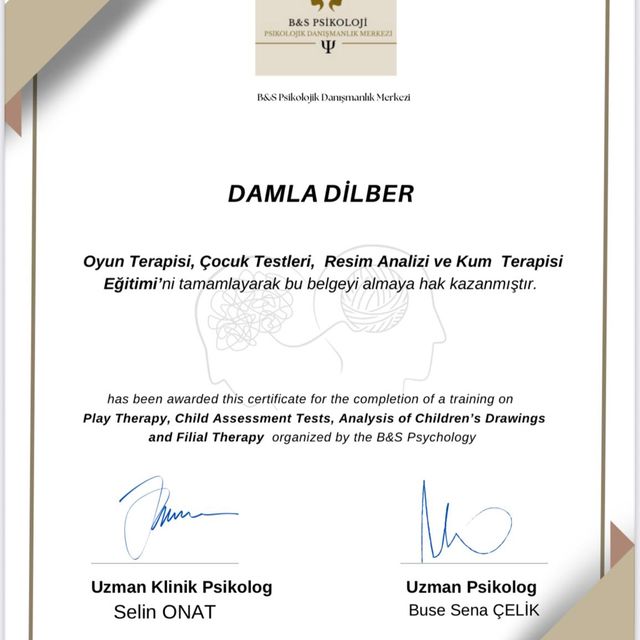 Resmi büyüt: certificate 52