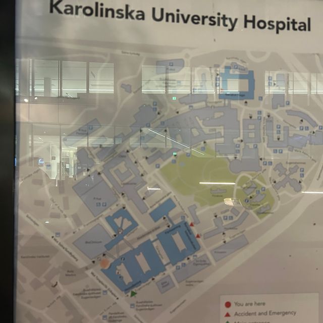 Powiększ obraz: certificate 159