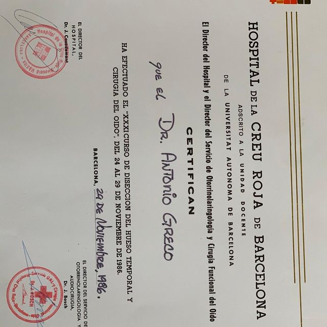 Ingrandire l'immagine: certificate 24