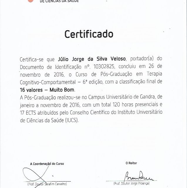 Ampliar imagem: certificate 9