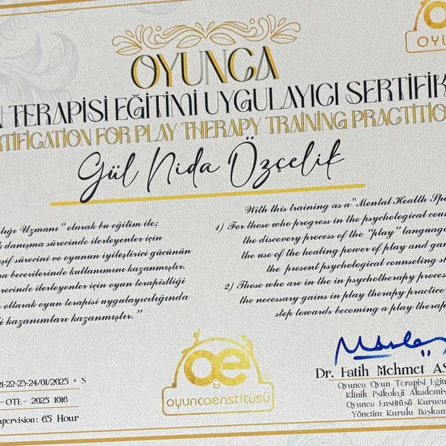 Resmi büyüt: certificate 1