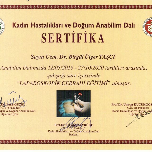 Resmi büyüt: certificate 2