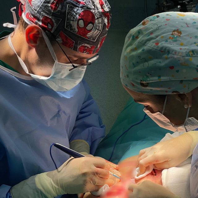 Acercar imagen: certificate 2