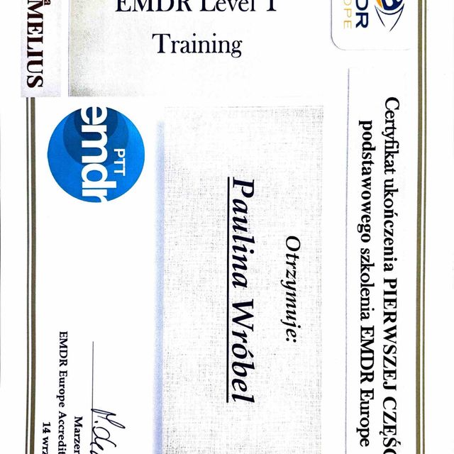 Powiększ obraz: certificate 1