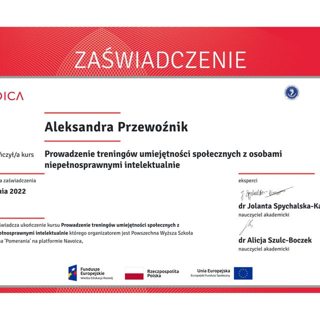 Powiększ obraz: certificate 7
