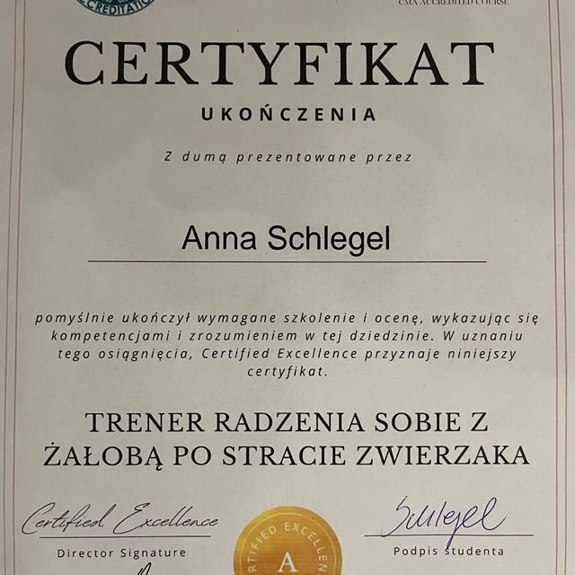 Powiększ obraz: certificate 6