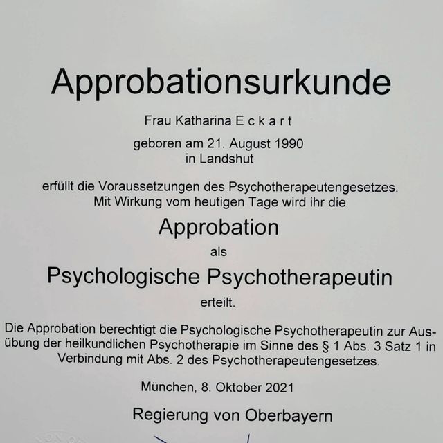Bild vergrößern: certificate 1